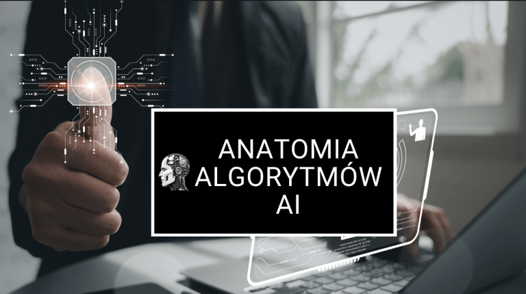 anatomia
